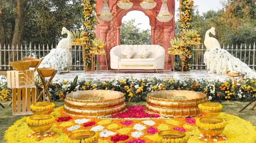 Marigold haldi